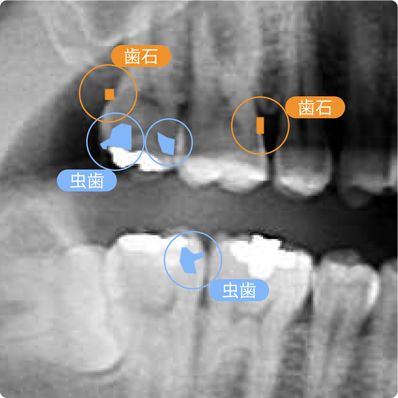 サービス画面イメージ